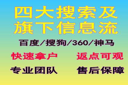 跨行业SEM广告投放的多样化案例分析